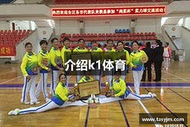 介绍k1体育